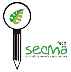 Secretaria de Ecología y Medio Ambiente de Chile- FECH
