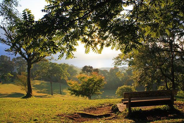  Bali adalah sebuah kebun botani atau taman botani tropis yang luas dan besar di  Kebun Raya Bali - Bedugul Bali, Indonesia