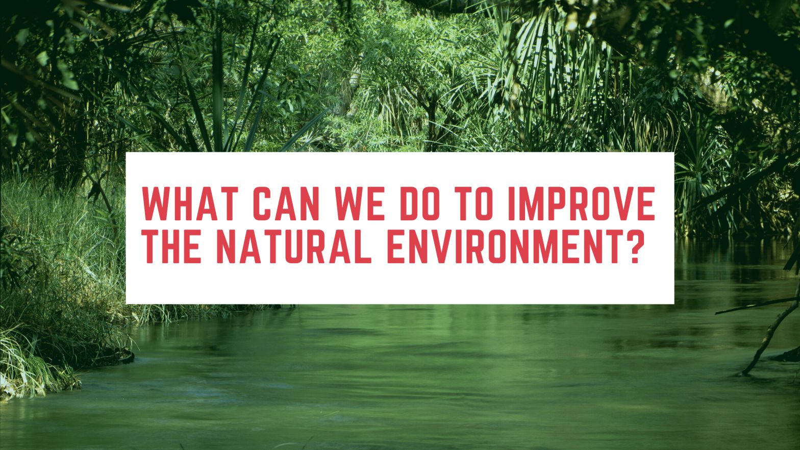 What Can We Do to Improve the Natural Environment?