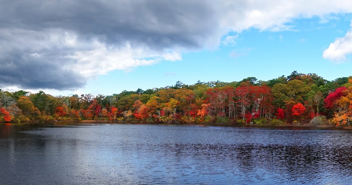 Joe's Retirement Blog Fall on Rabbit Pond, Manomet, Plymouth