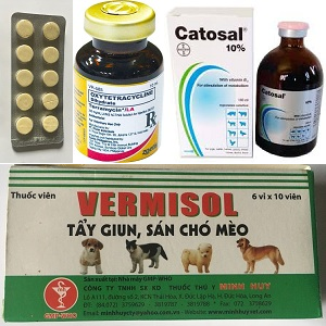 Veterinary Medicine[Thuốc Thú Y]