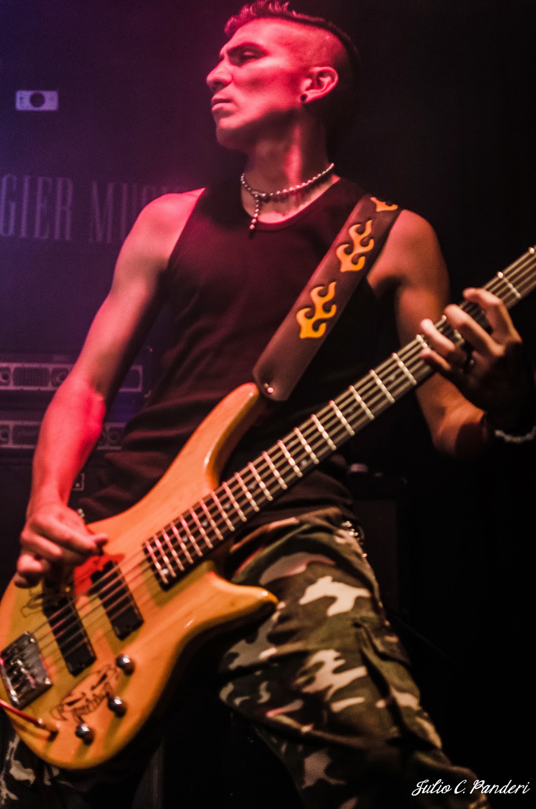 . METEMPSICOSIS en Gier, 24 de noviembre de 2013