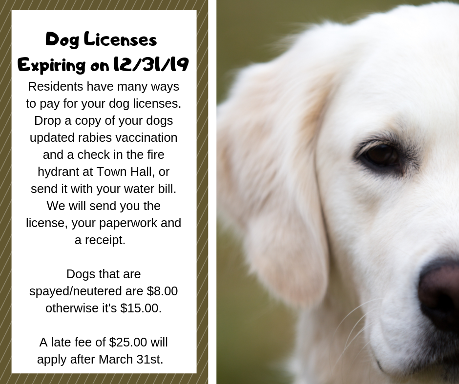 Greenville, Wisconsin Convenient Ways to License Your Dog