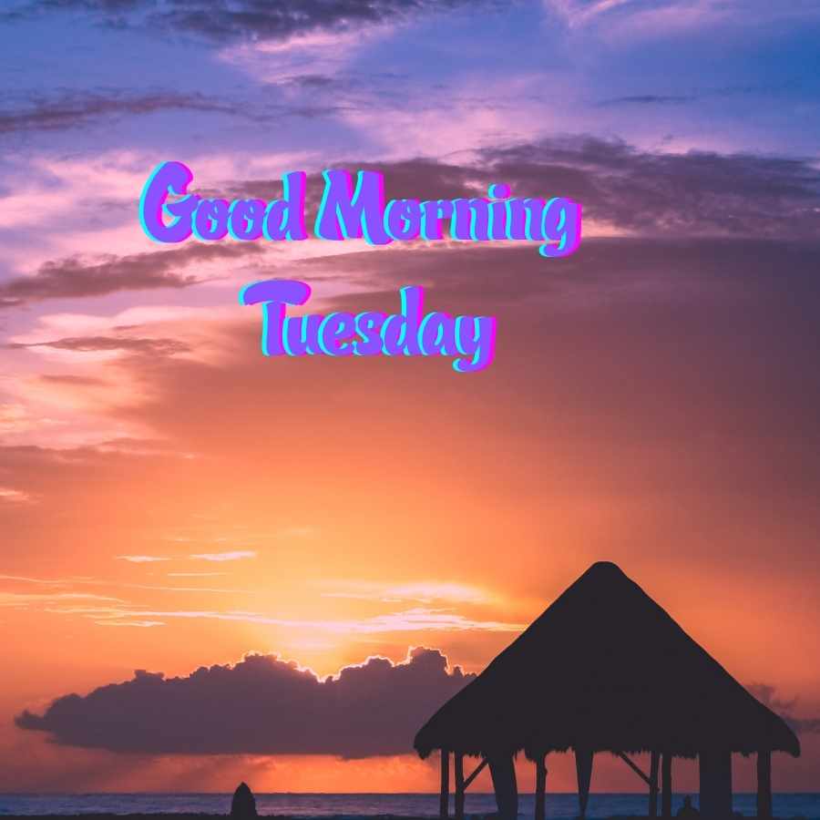 happy tuesday flowers images