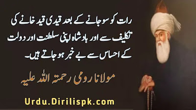Rumi Quotes in Urdu