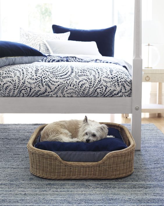 NOSSOS FIÉIS COMPANHEIROS