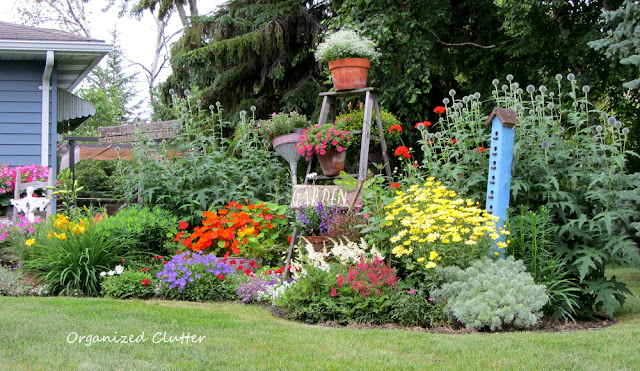 Mixed Annual & Perennial Junk Garden