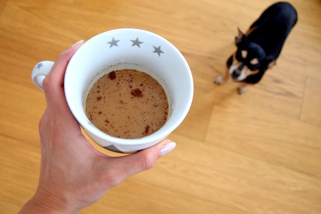 Can Dogs Drink Coffee? Or Is Coffee Safe For Dogs?