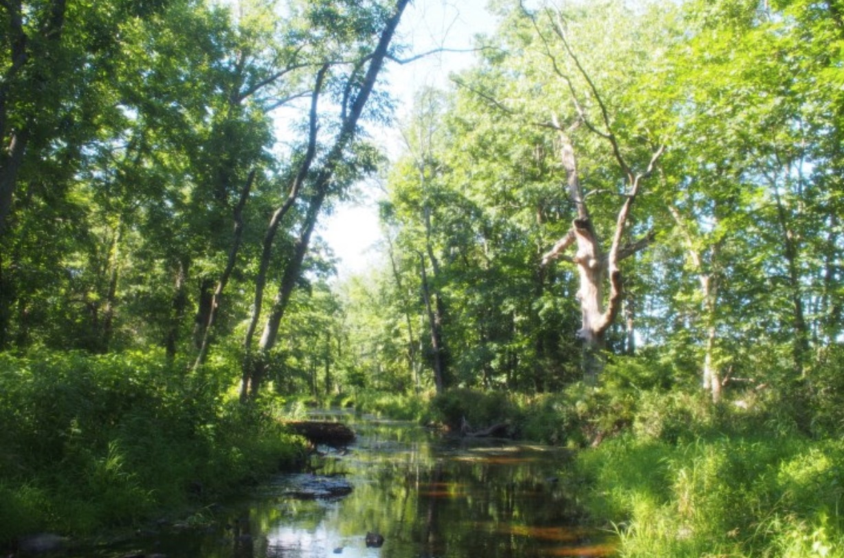 PA Environment Digest Blog Land Conservancy Of Adams County Preserves 142Acre Farm Near
