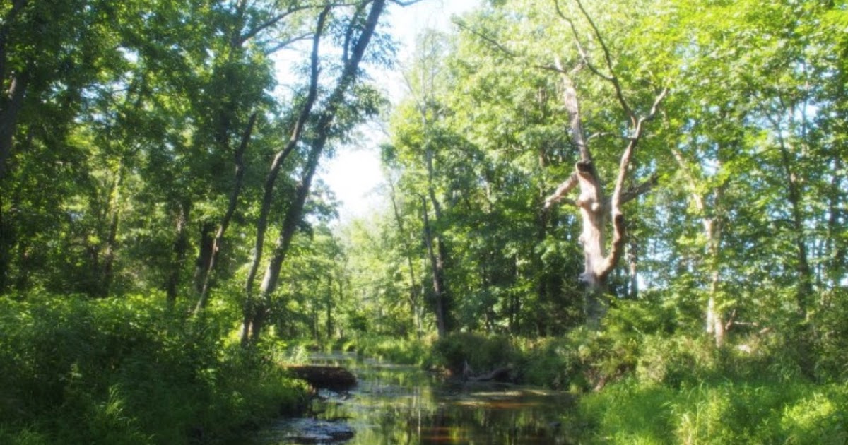 PA Environment Digest Blog Land Conservancy Of Adams County Preserves