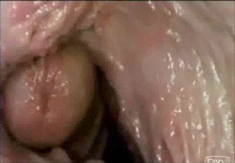 Cum Inside Vagina During