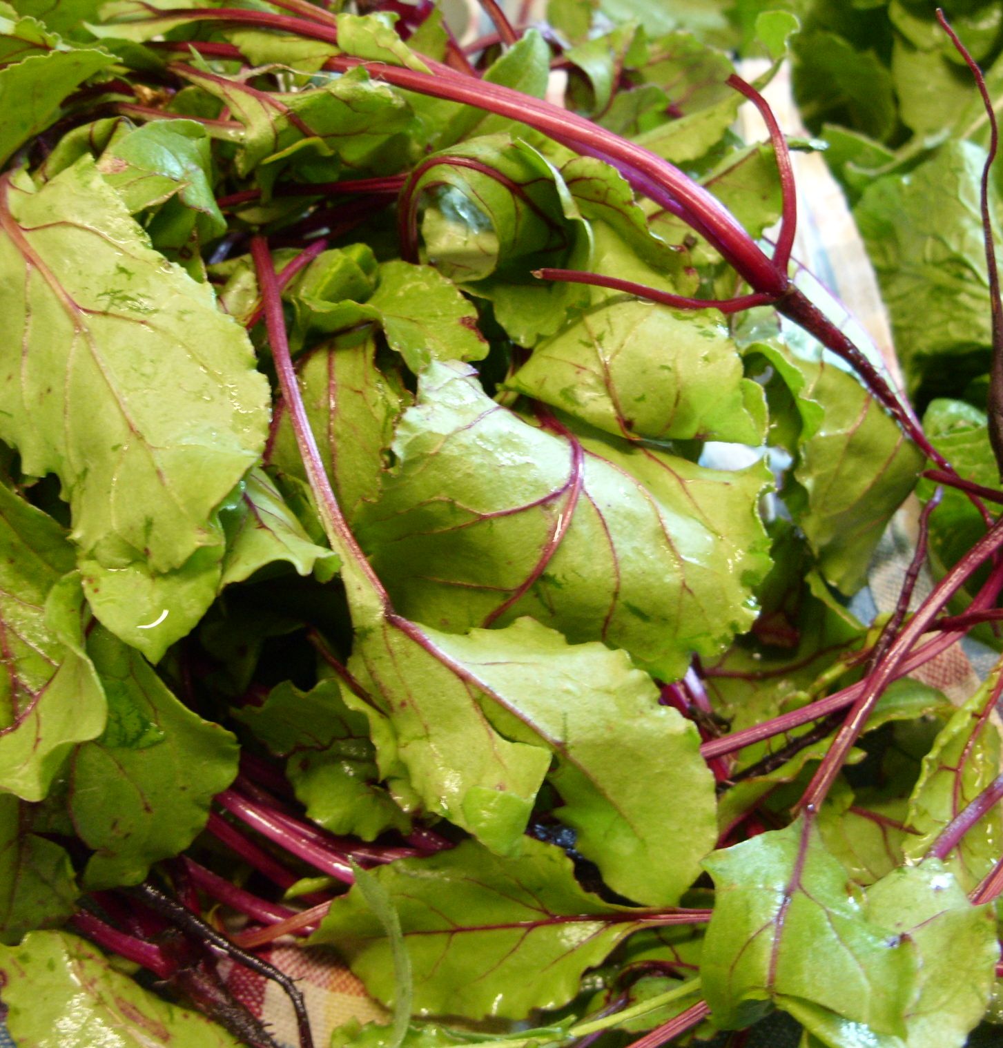 Eat The Blog Turnip and Beet Greens in Cream Sauce