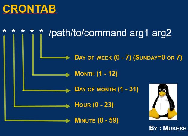Kubernetes Run Cron Job Manually