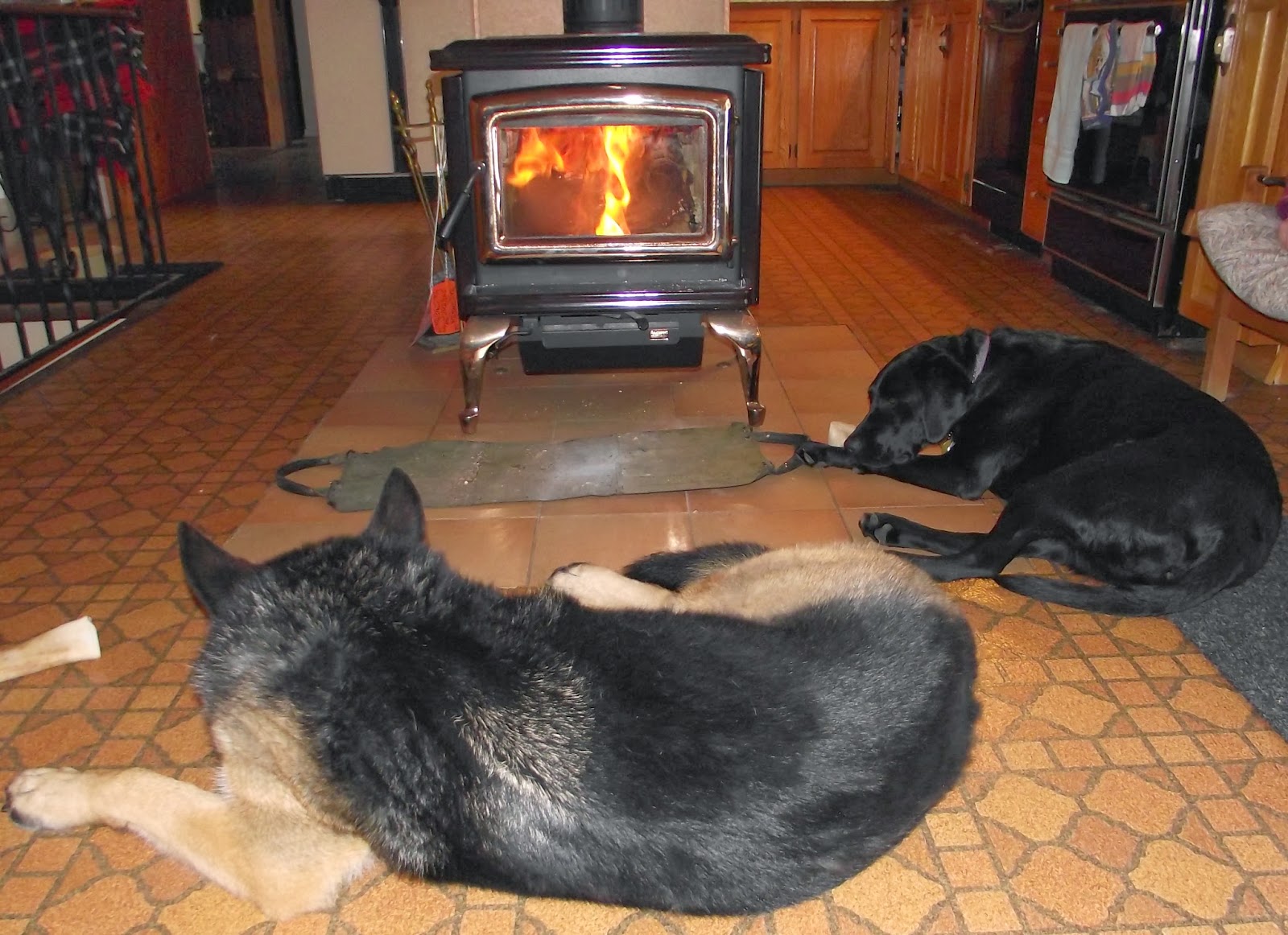 Canadian Needle Nana New Wood Stove and Fireside Dogs
