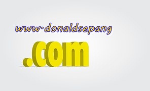 domain www.donaldsepang.com