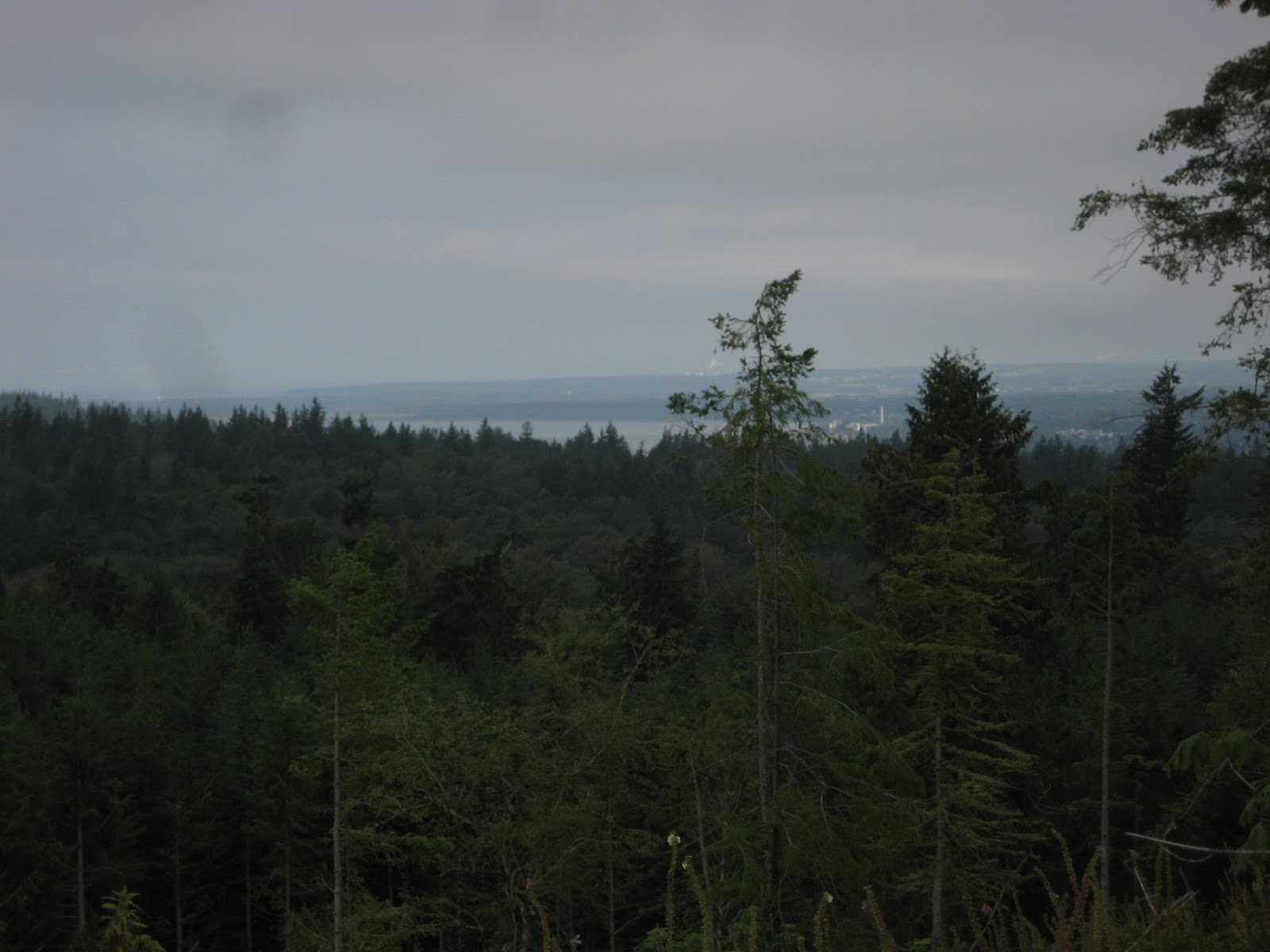 Galbraith Hiking Loop Meatgrinder via Pipeline; return via Bob's