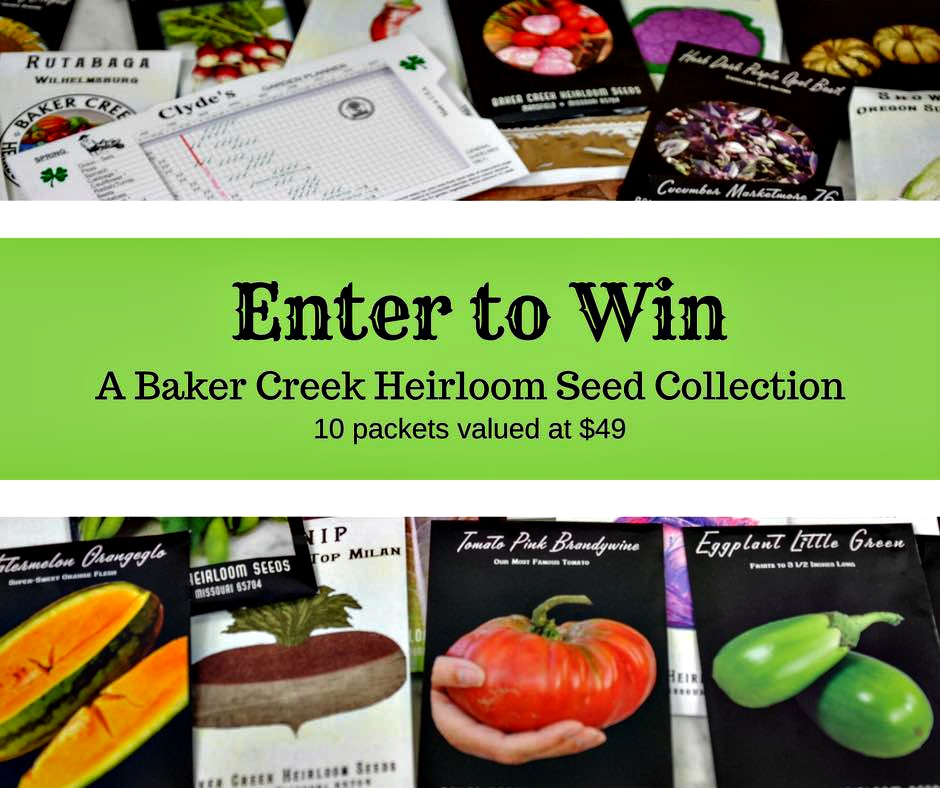 My Very First Garden, and a Baker Creek Seeds Giveaway (Giveaway Ended