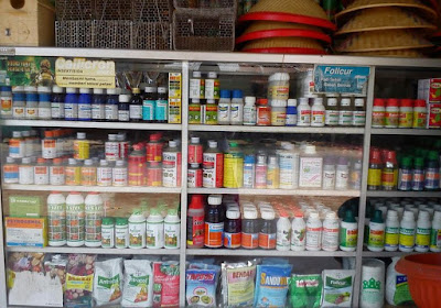 Peluang usaha pertanian