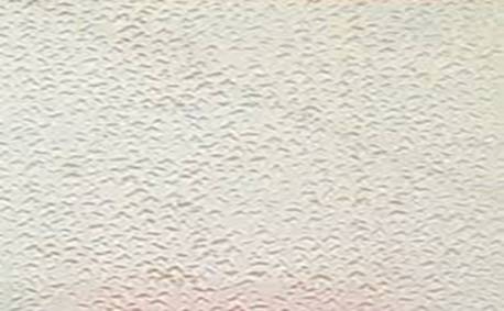 [Image: mang-son-bi-ro.jpg]