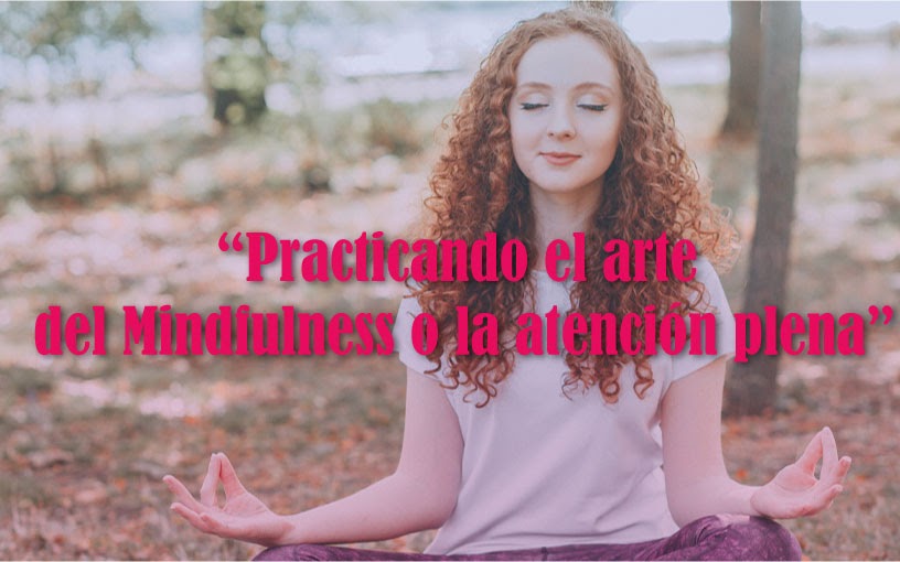 www.seartistadetuvida.com