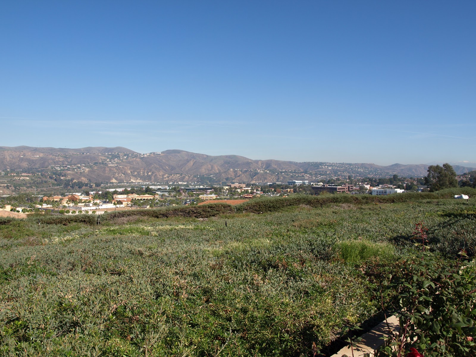 Jim Salem, Realtor First Team Real Estate Anaheim Hills Single Story