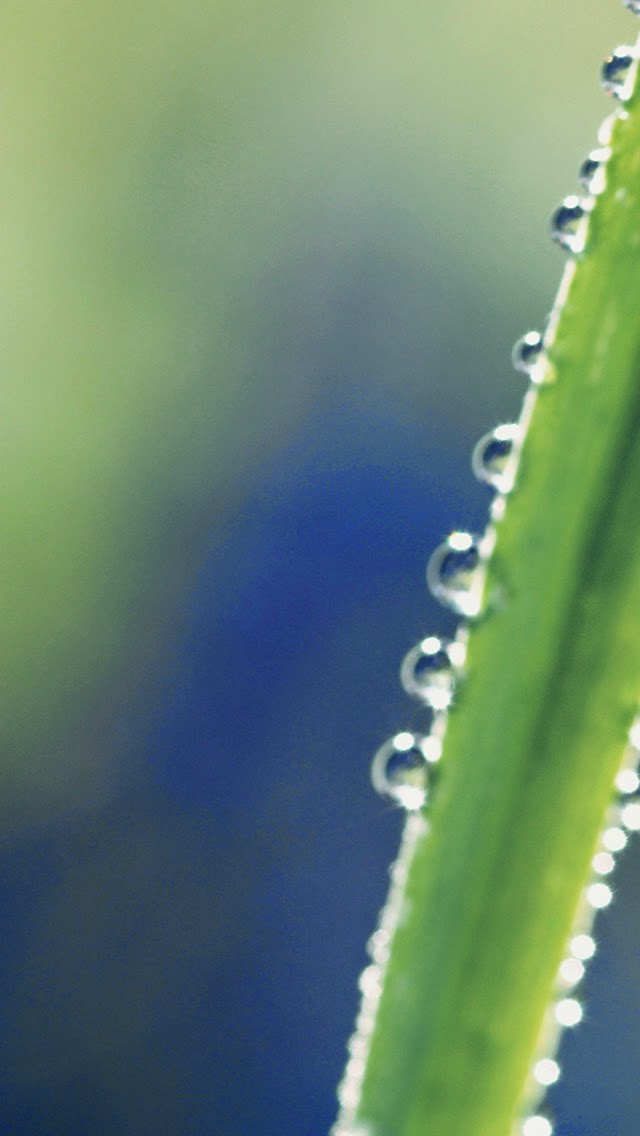 Gotas.jpg