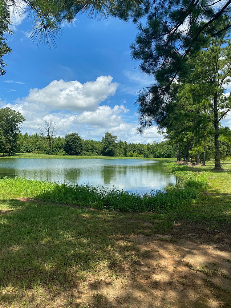 Flory Farms Airbnb in Kentwood Louisiana Fancy Voyage