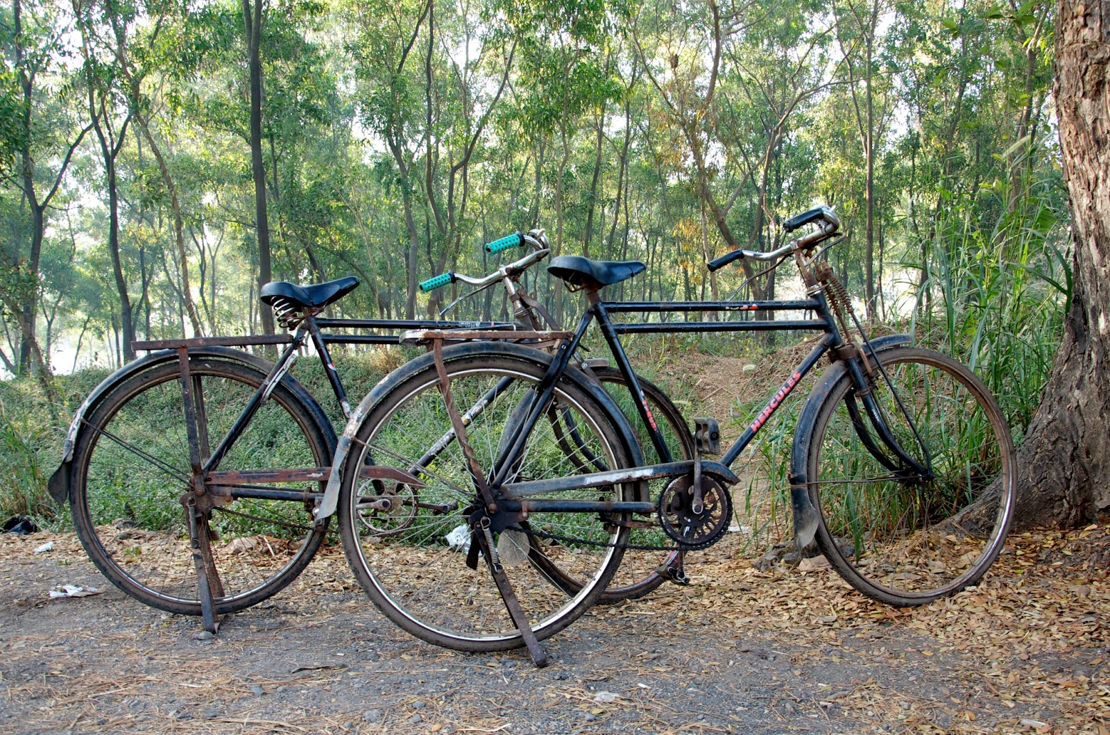 Hercules Gear Cycle Old Mountain Bike Hercules Cycles For Year Old