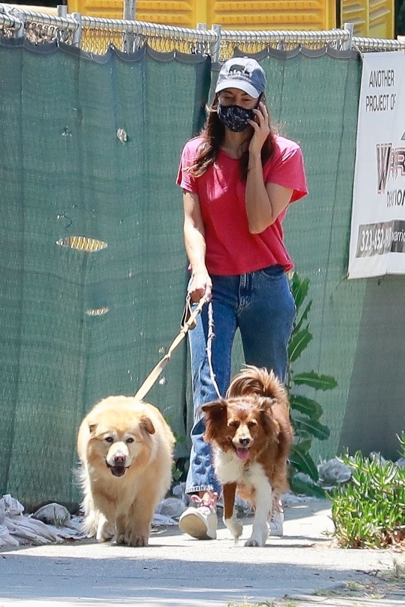 Aubrey Plaza Clicked  Outside with Her Dogs in Los Feliz 21 Jun -2020