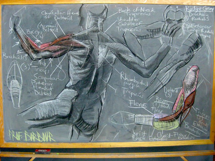 ESTUDIO BARBOUR ATELIER & JAMES XAVIER BARBOUR ANATOMY LECTURES AND