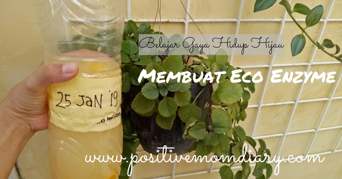 Cara Membuat Eco Enzyme