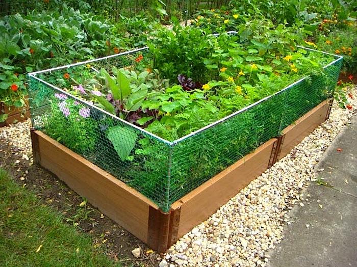 25 Creative Cheap Raised Garden Bed Decor Units