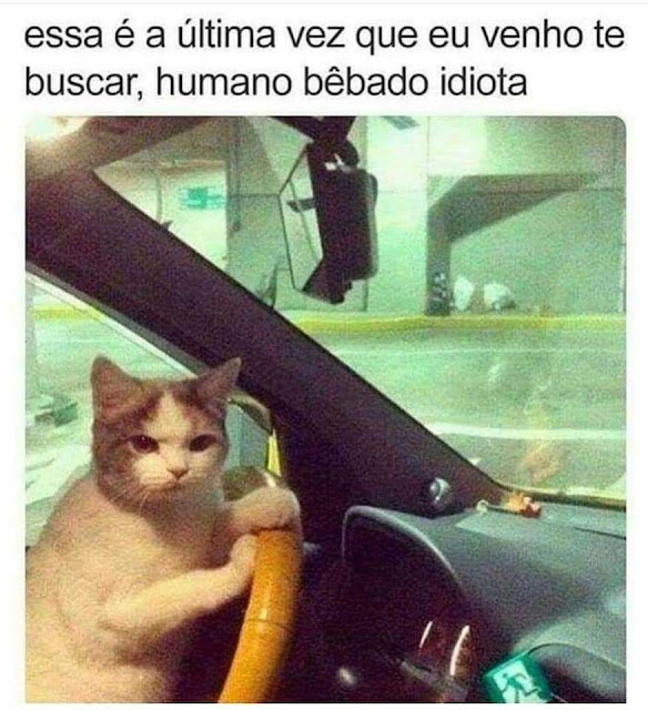 Memes Engraçados Memes Engraçados