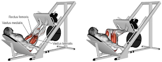 Top 5 Exercises For Building Legs, Leg Press Machine Top 5 Exercises For Building Legs, Leg Press Machine