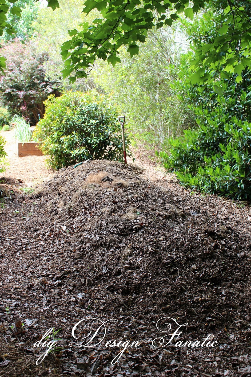 Here's how we make earthy black gold~ the easy way: