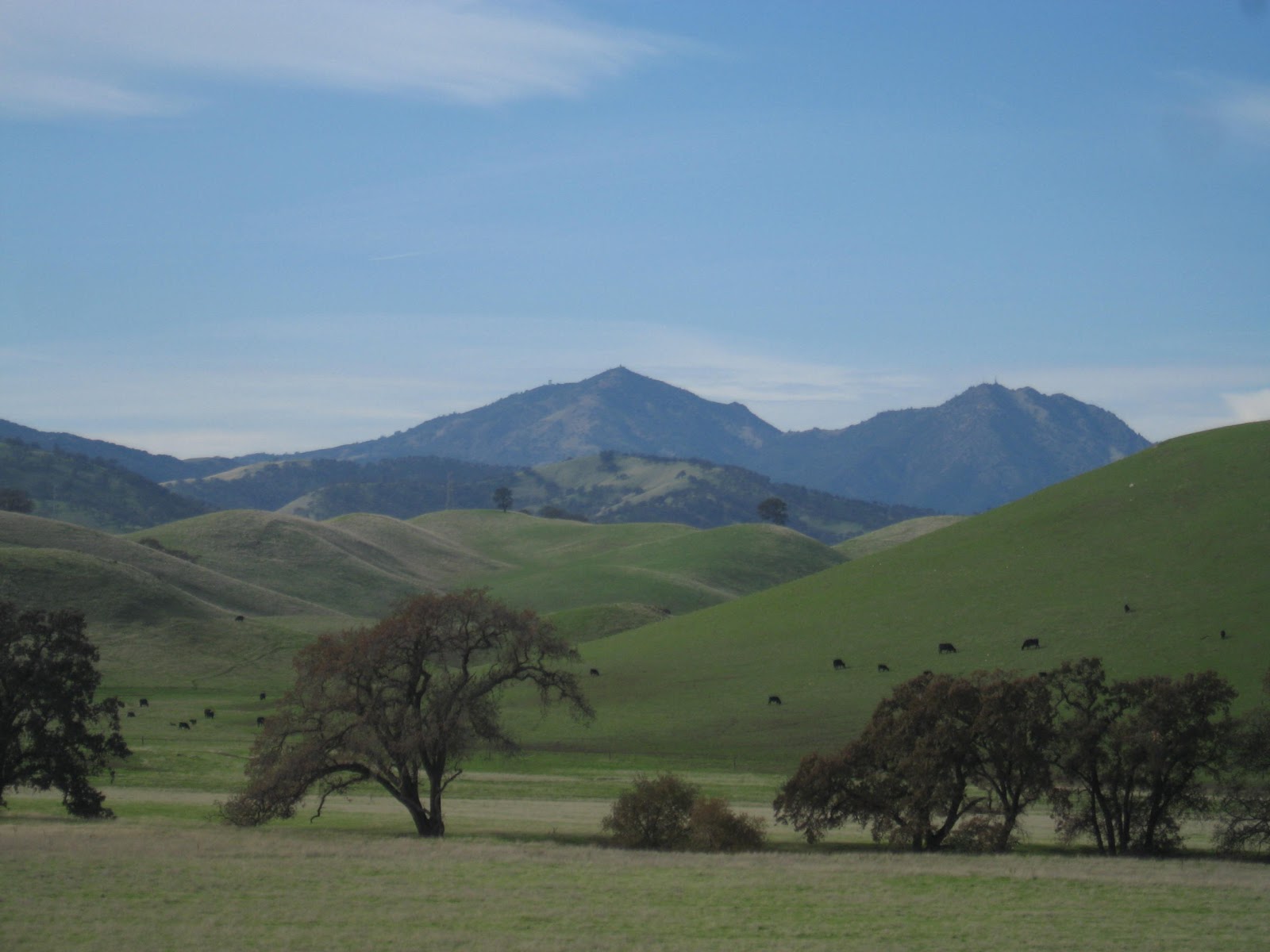 Planks, Fartleks, and Family Fun Los Vaqueros Reservoir