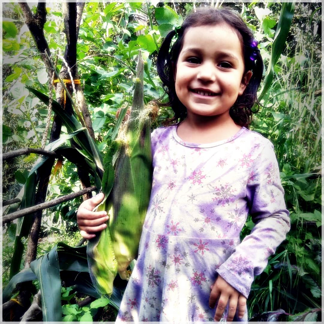 GrowSomething-99975248669