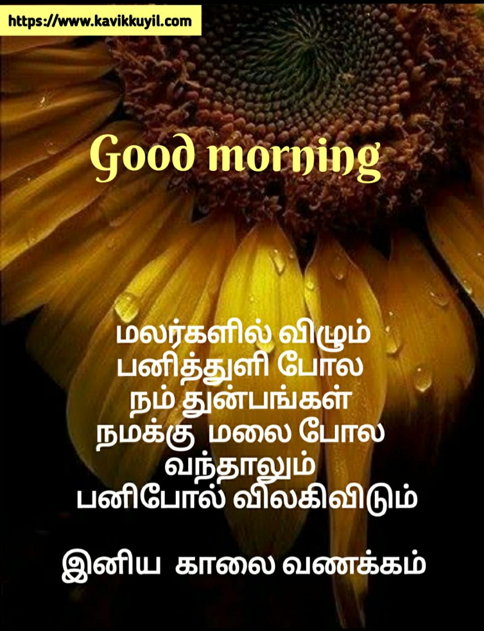 Good Morning Quotes in Tamil || காலை வணக்கம் ...