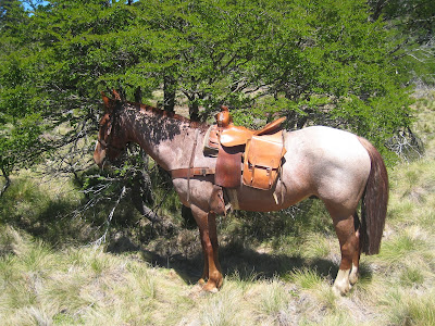 Riding in Chile