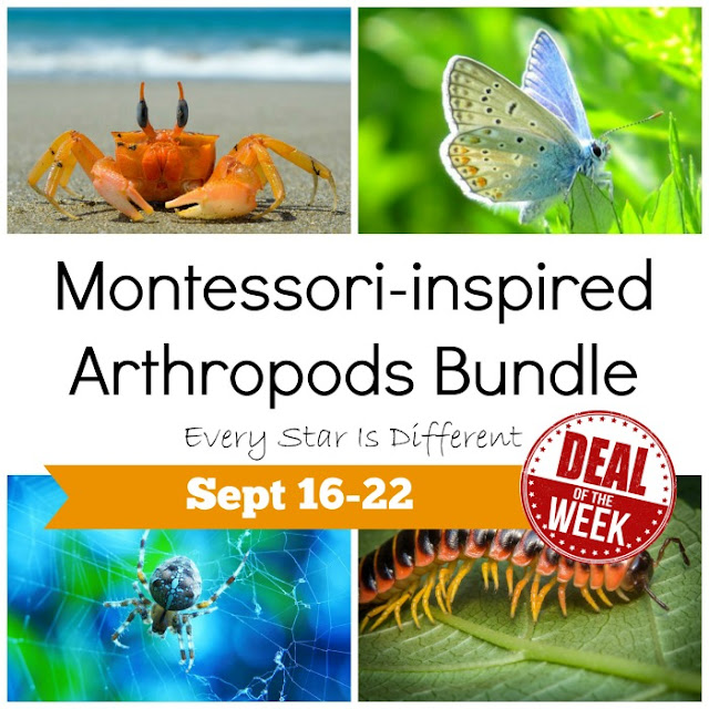 Deal of the Week: Montessori-inspired Arthropods Bundle