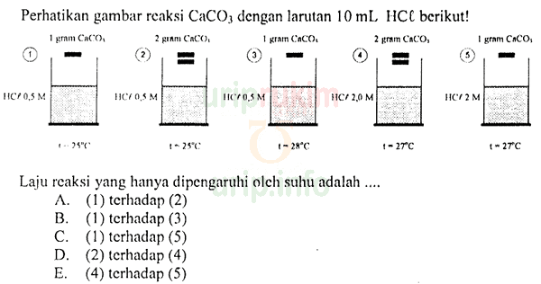 Cara Menentukan Faktor yang Mempengaruhi Laju Reaksi dari Data Visual