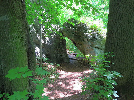 Rezerwat przyrody Smoleń rezerwat