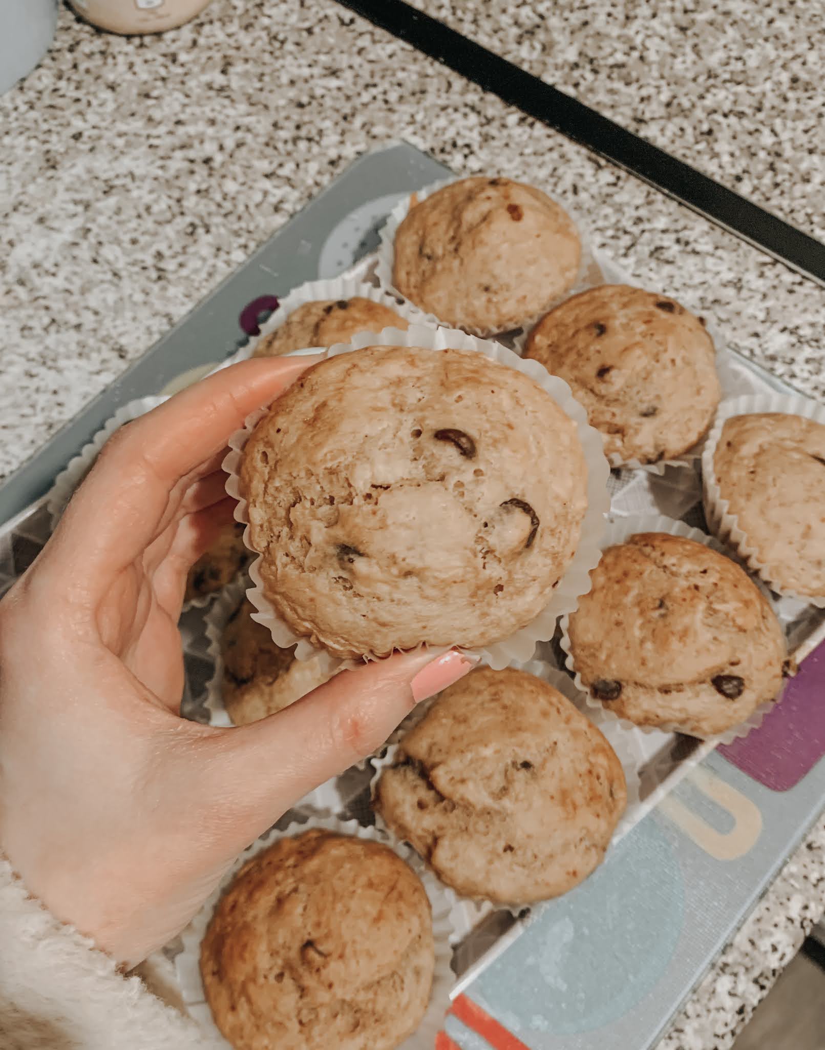 Vegan Chocolate Chip Muffins Recipe