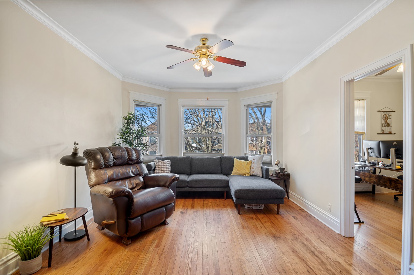 The Chicago Real Estate Local (UPDATE SOLD FOR 515K) Albany