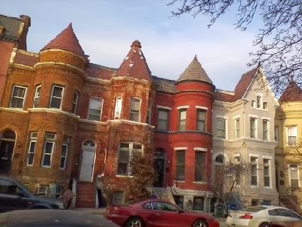 regulus row quintessential various