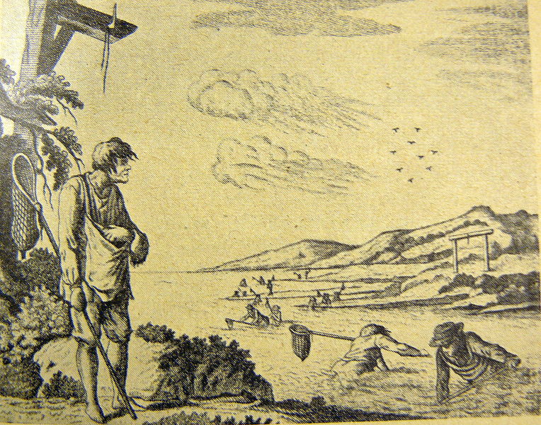 Ámbar del Báltico Busqueda de ámbar