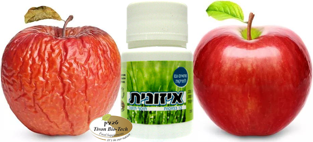 איזונית כמוסות אתר ויטמין