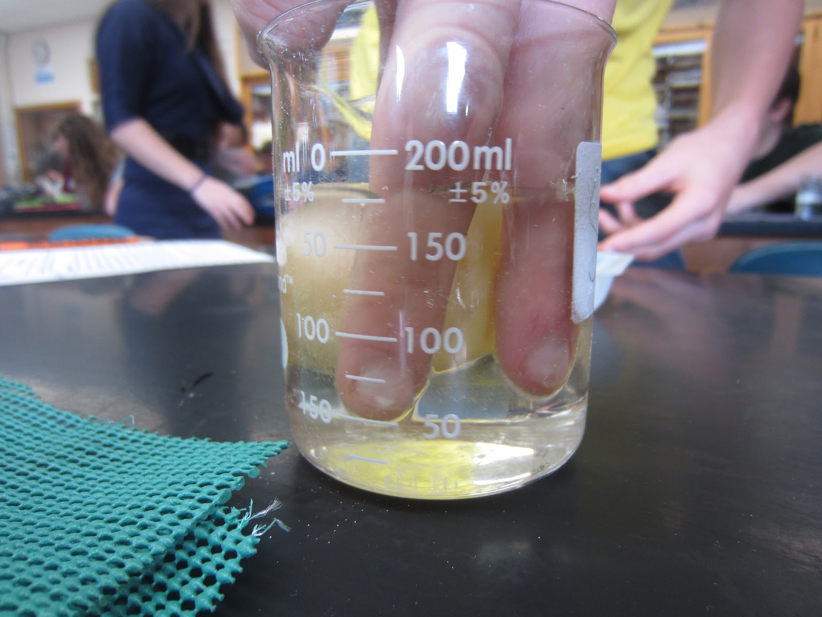 EC Honors Biology Day 3 of Egg Lab