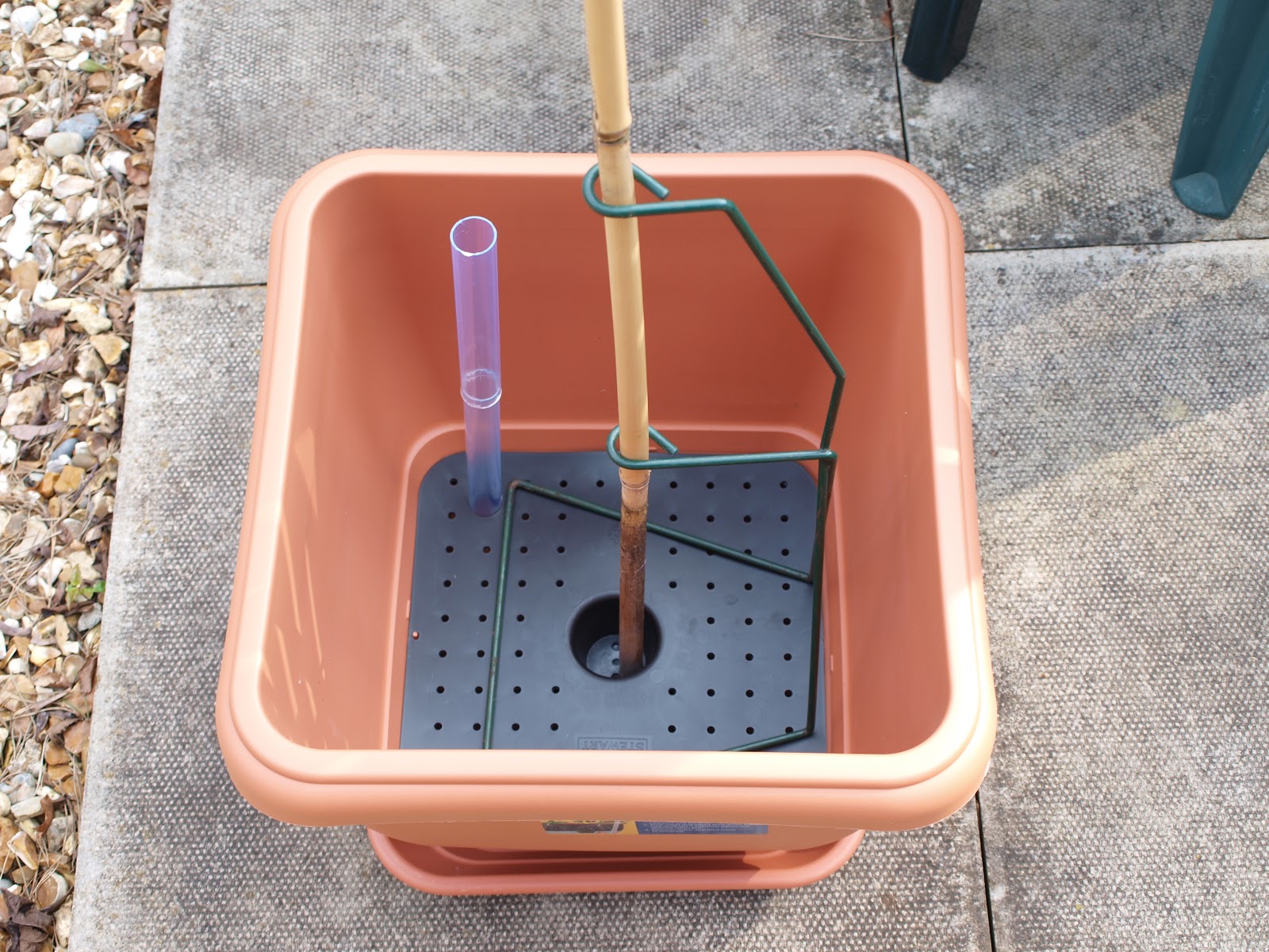 Mark's Veg Plot Tomato containers