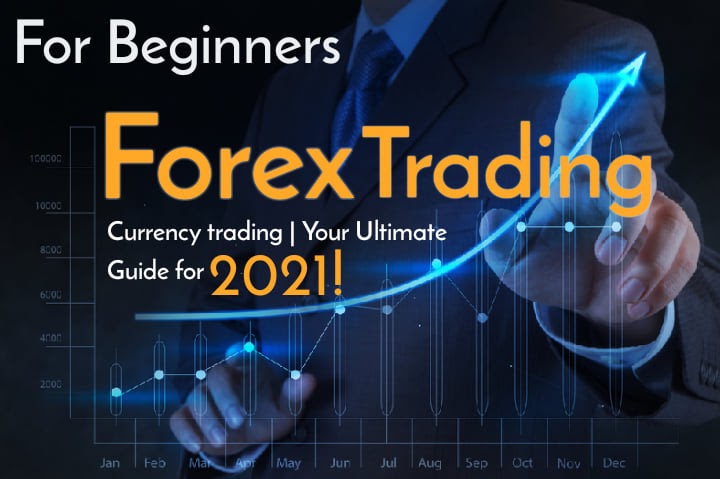 forex trading groups